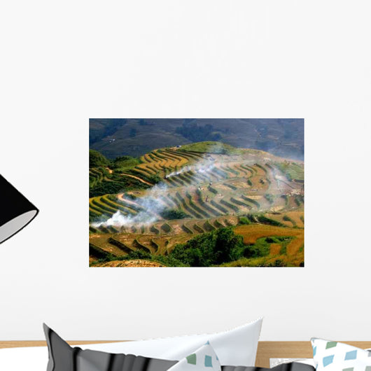 Rice Fields Wall Decal