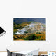 Rice Fields Wall Decal