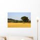 Tree In A Golden Field Of Grain, North Yorkshire, England Wall Mural