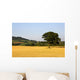 Tree In A Golden Field Of Grain, North Yorkshire, England Wall Mural