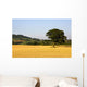 Tree In A Golden Field Of Grain, North Yorkshire, England Wall Mural