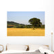 Tree In A Golden Field Of Grain, North Yorkshire, England Wall Mural