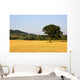 Tree In A Golden Field Of Grain, North Yorkshire, England Wall Mural