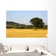 Tree In A Golden Field Of Grain, North Yorkshire, England Wall Mural