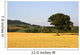 Tree In A Golden Field Of Grain, North Yorkshire, England Wall Mural