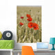 Wildflowers Wall Mural