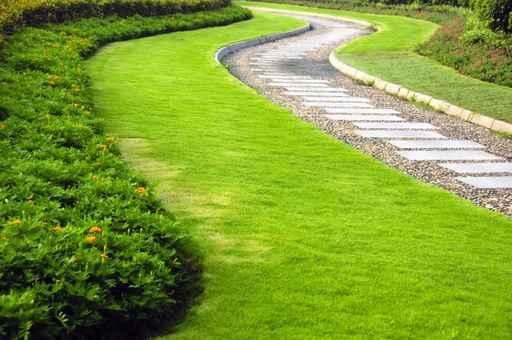 Park Walkway Wall Decal