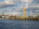 Grue Jaune Nantes Wall Decal
