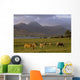 Ireland Wall Mural