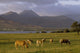 Ireland Wall Mural