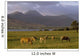 Ireland Wall Mural