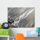 Shoreline Wall Mural