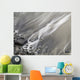 Shoreline Wall Mural