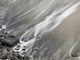 Shoreline Wall Mural