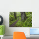 Ramsons By Path In Woods, County Louth, Ireland Wall Mural