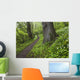 Ramsons By Path In Woods, County Louth, Ireland Wall Mural