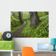 Ramsons By Path In Woods, County Louth, Ireland Wall Mural