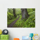 Ramsons By Path In Woods, County Louth, Ireland Wall Mural