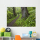 Ramsons By Path In Woods, County Louth, Ireland Wall Mural