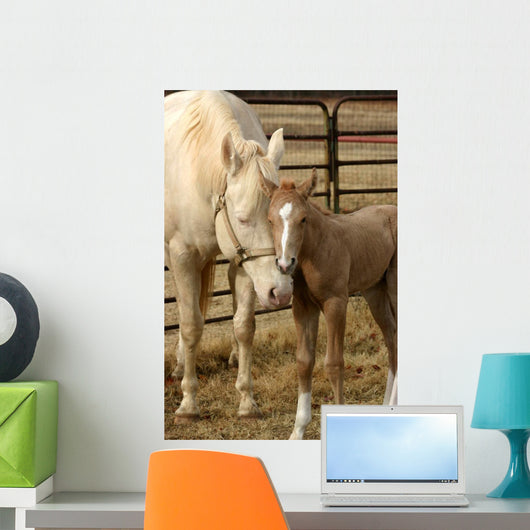 Mare and Foal Wall Decal