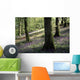 Woods In Spring, Clara Vale Wall Mural