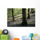 Woods In Spring, Clara Vale Wall Mural
