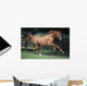 Galloping Thoroughbred Horse Wall Mural