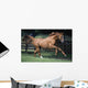 Galloping Thoroughbred Horse Wall Mural