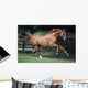 Galloping Thoroughbred Horse Wall Mural