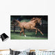 Galloping Thoroughbred Horse Wall Mural