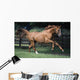 Galloping Thoroughbred Horse Wall Mural