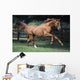 Galloping Thoroughbred Horse Wall Mural