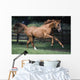 Galloping Thoroughbred Horse Wall Mural