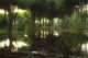 Tranquil Scenic Wall Mural