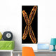 X Chromosome Wall Mural
