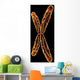 X Chromosome Wall Mural