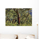 Old Cork Oak Tree Wall Mural