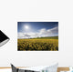 Yellow Rapeseed Field, Newgrange, County Meath, Ireland Wall Mural