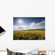 Yellow Rapeseed Field, Newgrange, County Meath, Ireland Wall Mural