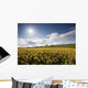Yellow Rapeseed Field, Newgrange, County Meath, Ireland Wall Mural