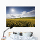 Yellow Rapeseed Field, Newgrange, County Meath, Ireland Wall Mural