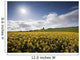 Yellow Rapeseed Field, Newgrange, County Meath, Ireland Wall Mural