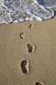 Footprints In The Sand Wall Mural