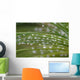 Chapelet Gouttes Wall Decal