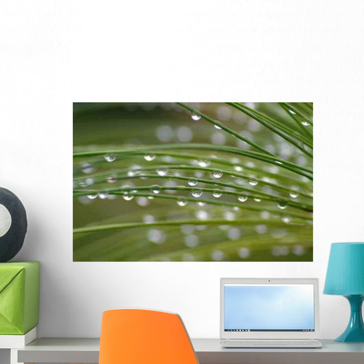 Chapelet Gouttes Wall Decal