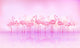 Flock of caribbean flamingos Wall Mural