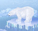 Polar bear standing on an ice floe Wall Mural