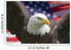Americana Murals - American Eagle with Flag Wall Mural