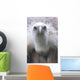 Geier Wall Mural