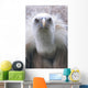 Geier Wall Mural